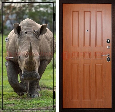 Металлическая дверь с фотопечатью носорога ДФ-31 в Краснодаре