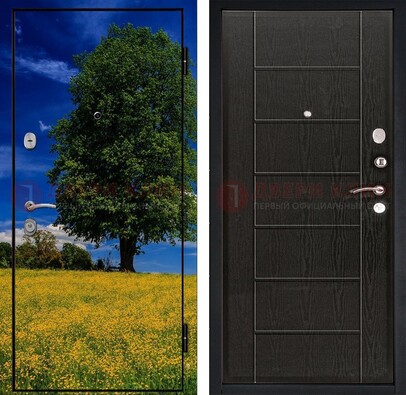 Железная дверь с фотопечатью дерева в поле ДФ-36 в Краснодаре
