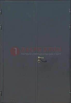 Двухстворчатая техническая дверь ДТ-5 в Краснодаре